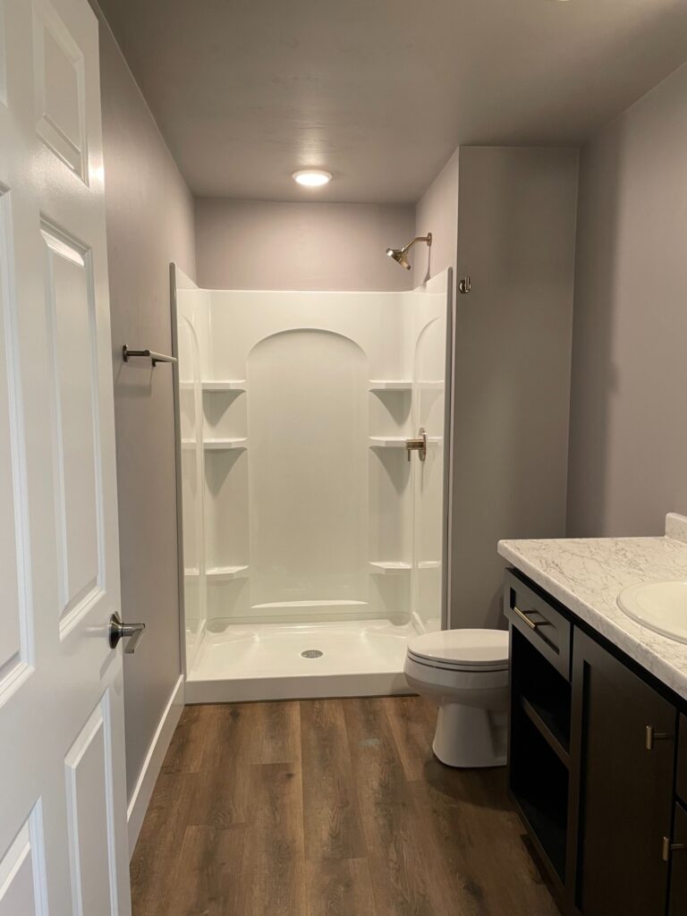 basement-bathroom-with-shower-insert-in-green-bay-wi